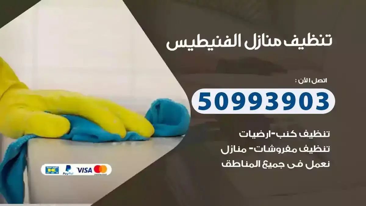 تنظيف منازل الفنيطيس